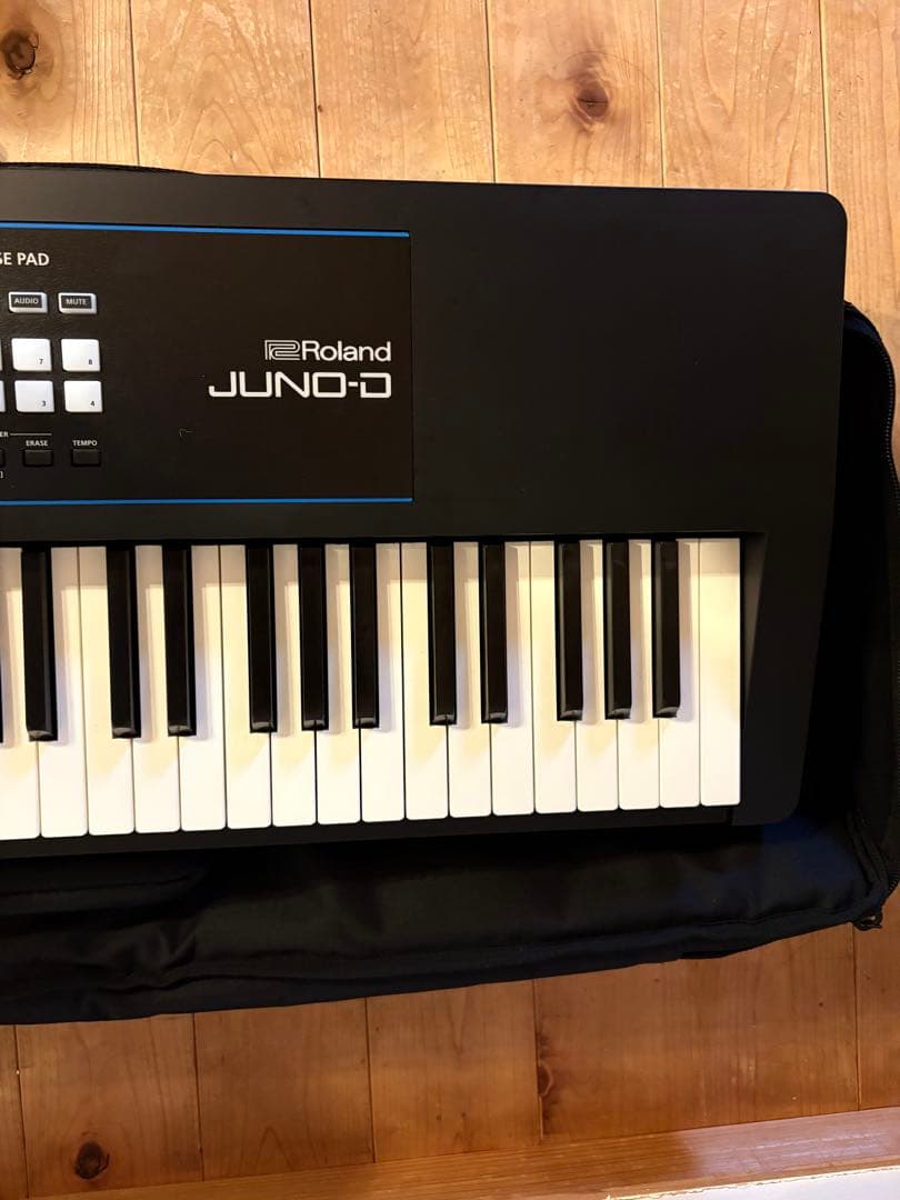 Juno-d8 CANAREケーブル 純正ケース付き