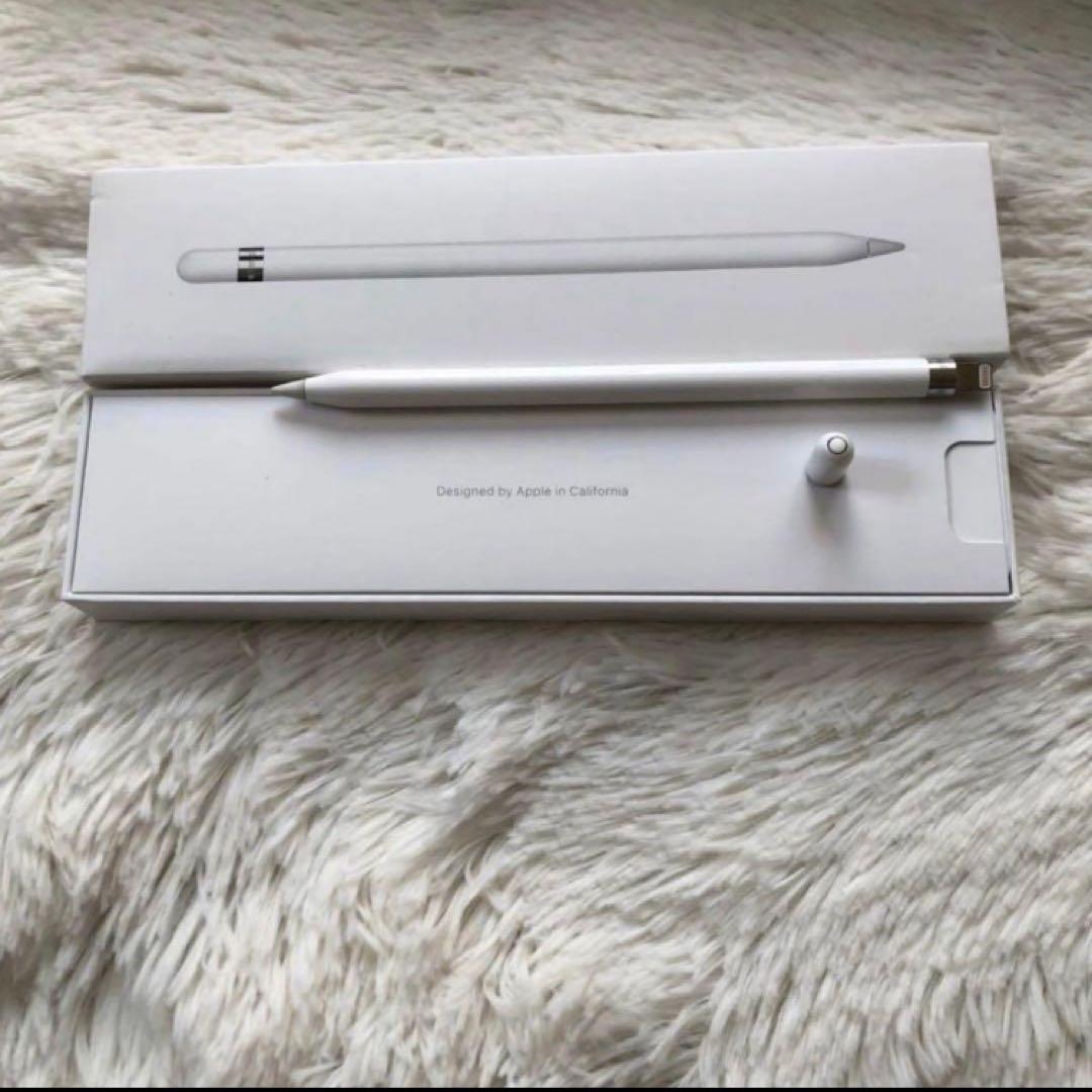 【ほぼ未使用】iPad Pro 10.5 256GB 付属品多数 【すぐ発送】