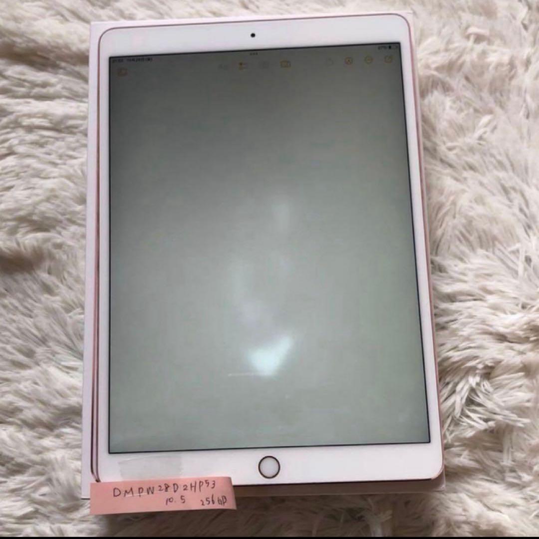 【ほぼ未使用】iPad Pro 10.5 256GB 付属品多数 【すぐ発送】