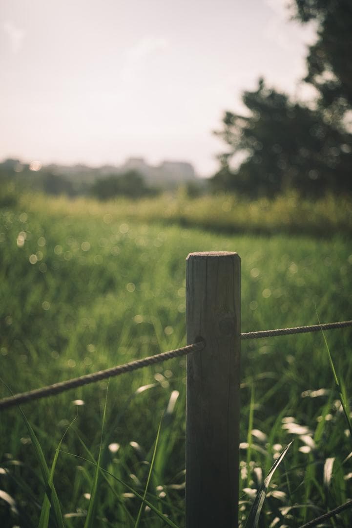国産！華やかエアリー 小西六 HEXAR 50mm F3.5 オールドレンズ