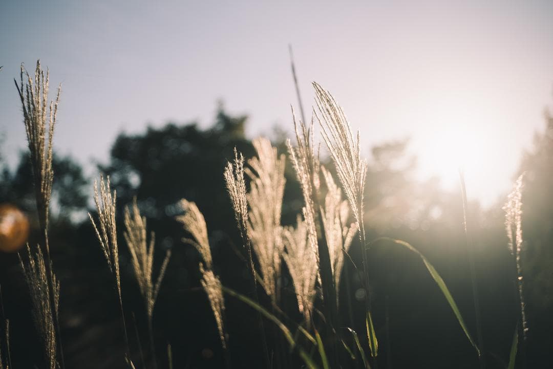 国産！華やかエアリー 小西六 HEXAR 50mm F3.5 オールドレンズ