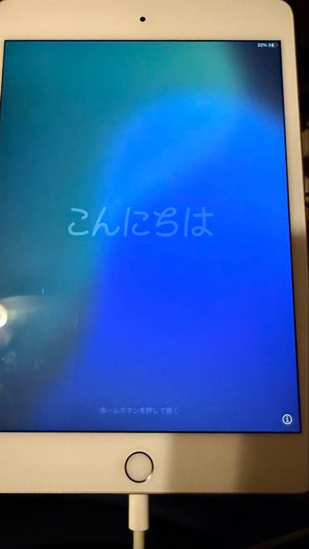 Apple iPad 256GB 5th Gen Gold 本体