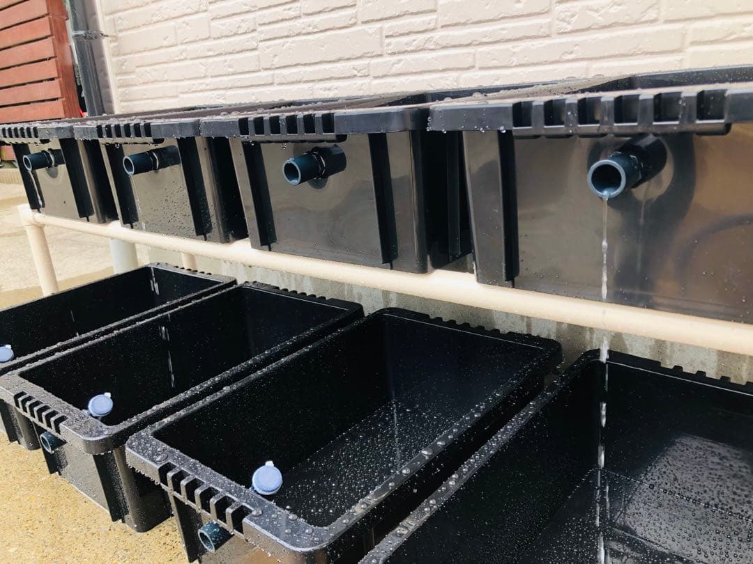 メダカ飼育ラック　ブラック　2段