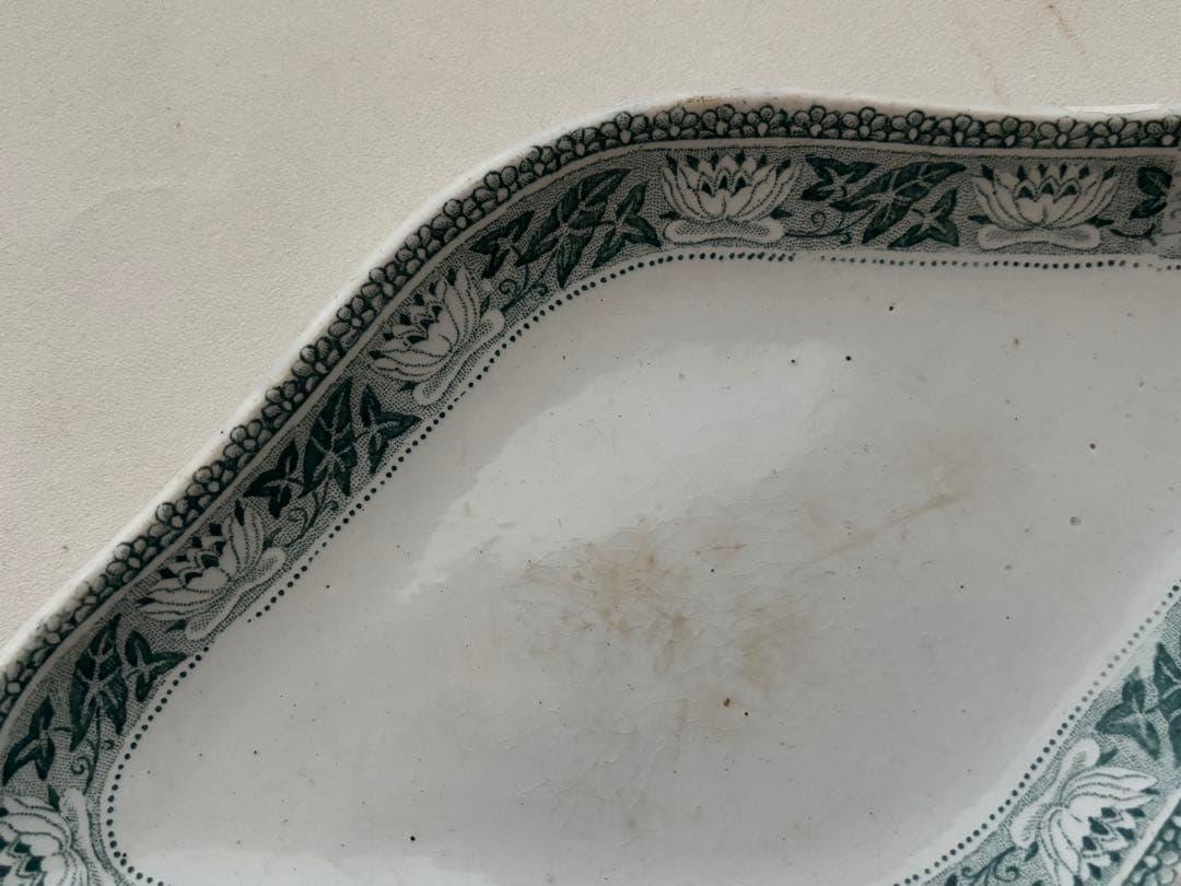 テールドフェール　グリーンのラヴィエ　terre de fer