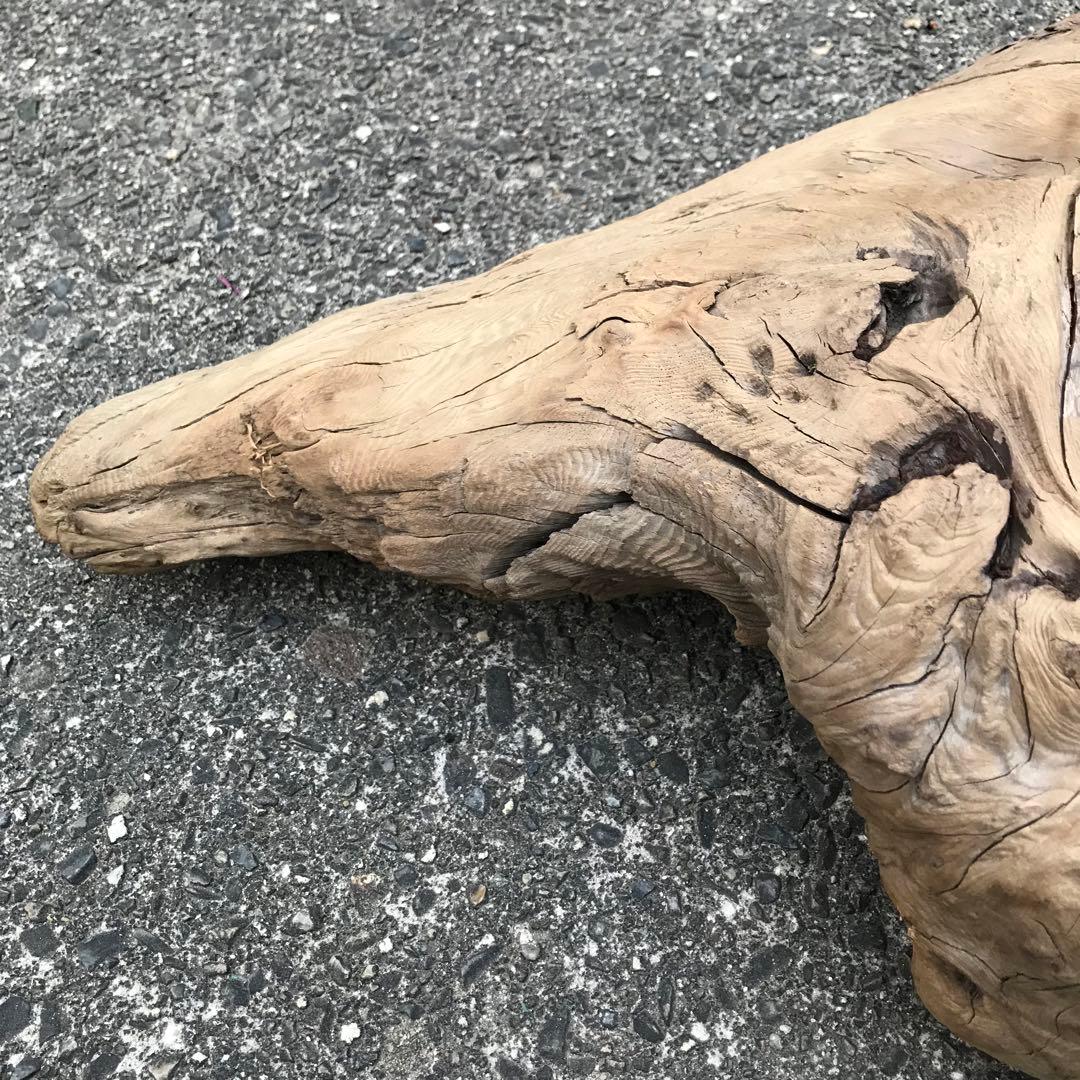 30年前に拾って乾燥させてあった流木