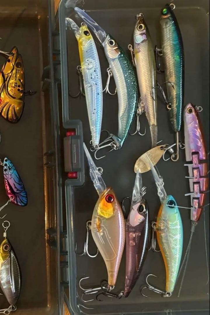 希少 廃盤 レア バス釣り引退セット！ TNトリゴン 他多種【新品未使用】