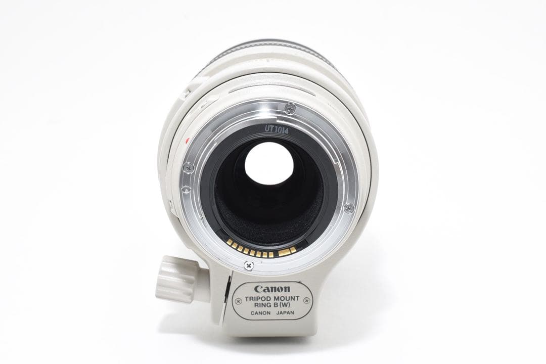 キヤノン Canon EF100-400mm F4.5-5.6L IS USM