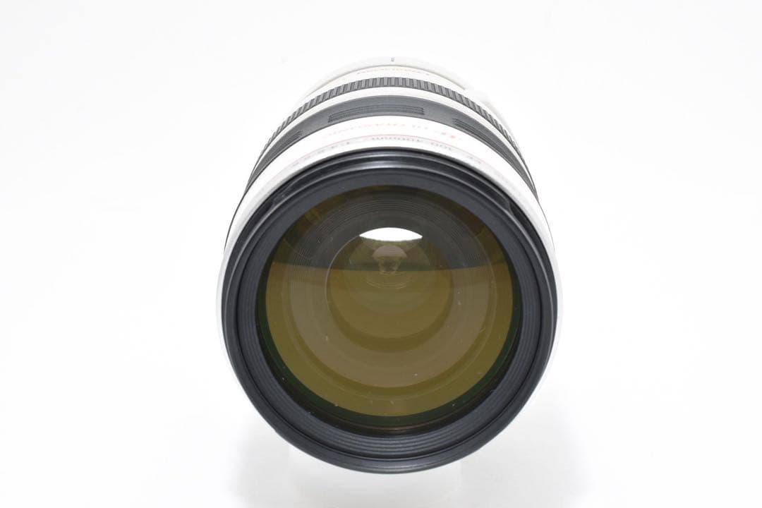 キヤノン Canon EF100-400mm F4.5-5.6L IS USM