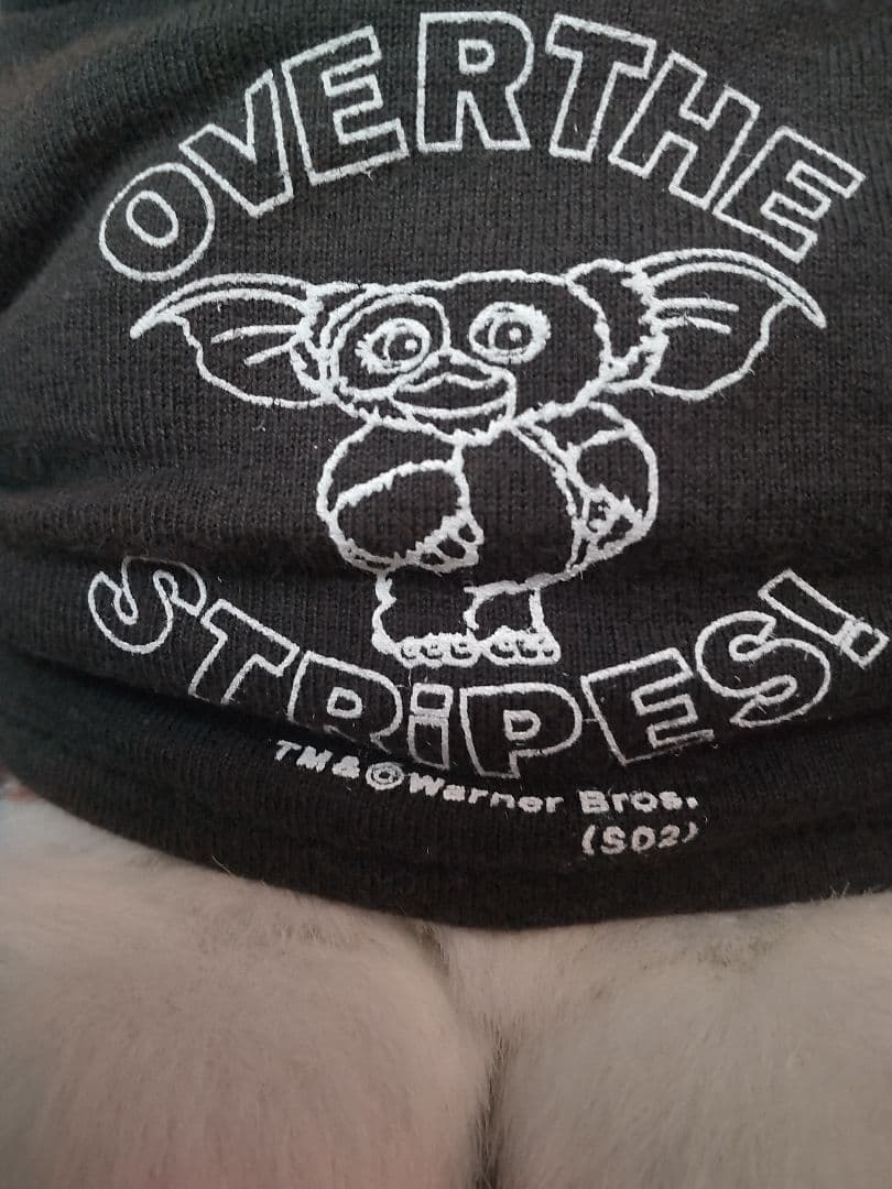 美品 グレムリン ギズモ ぬいぐるみ オーバーザストライプス ヴィンテージぬい