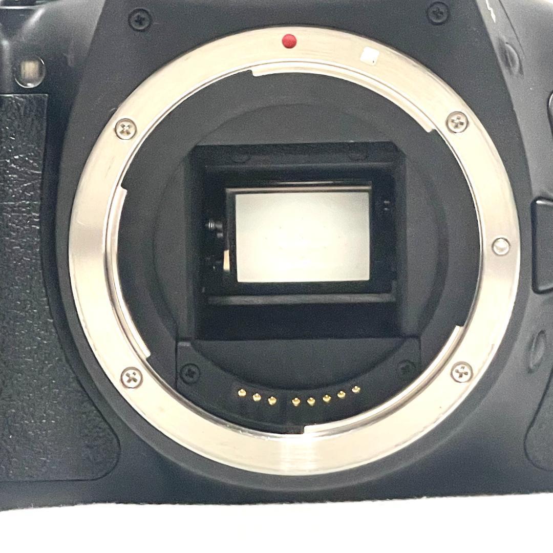 バリアングル液晶❣️ Canon EOS Kiss X5 ダブルレンズキット