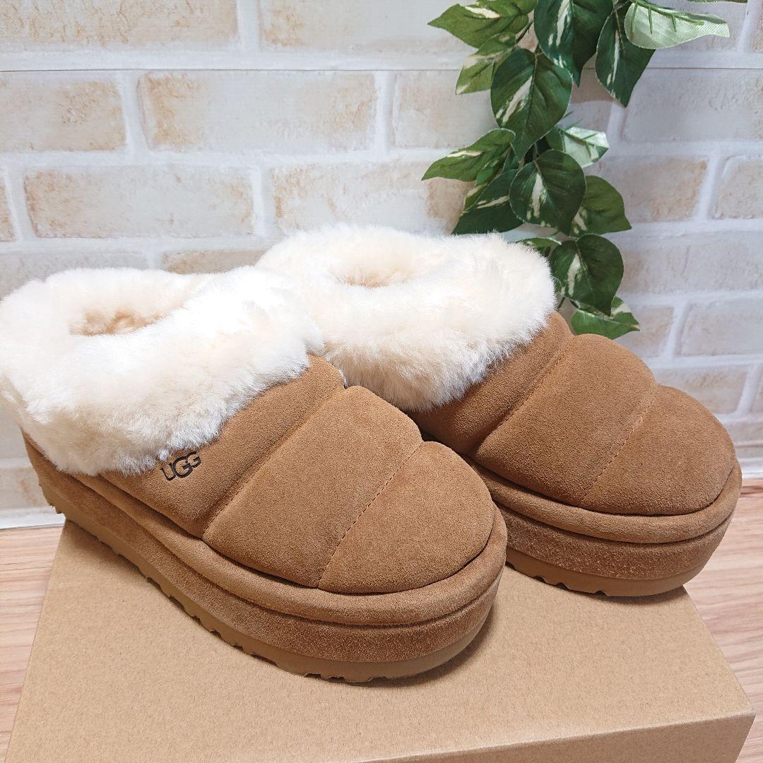 UGG アグ　Tazzlita　タズリータ チェスナット 22cm 厚底 新品