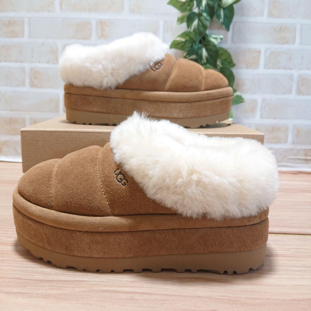 UGG アグ　Tazzlita　タズリータ チェスナット 22cm 厚底 新品