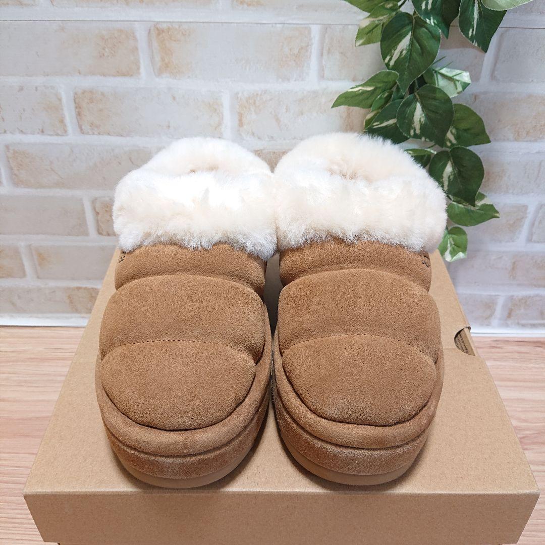 UGG アグ　Tazzlita　タズリータ チェスナット 22cm 厚底 新品