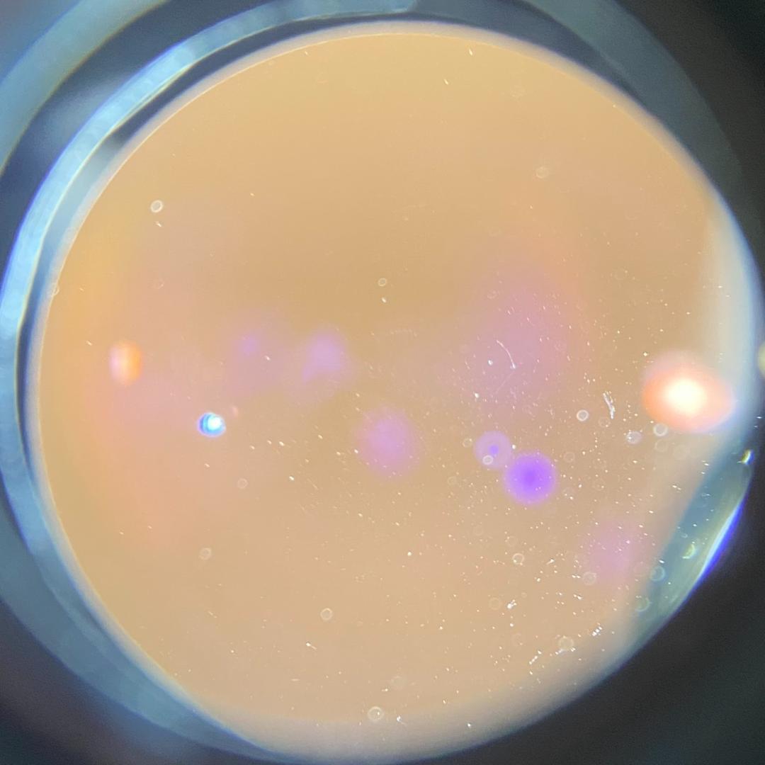 レンズ(単焦点) Carl Zeiss Planar T* 50mm F2 ZM Silver