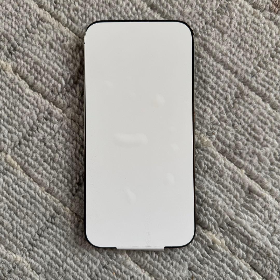 iPhone13 Pro アルパイングリーン 256GB