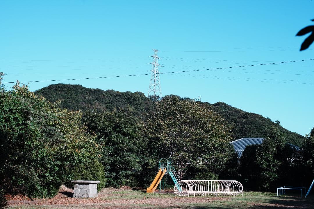 【整＆テ済】 Carl Zeiss Planar 50mm F1.7 482