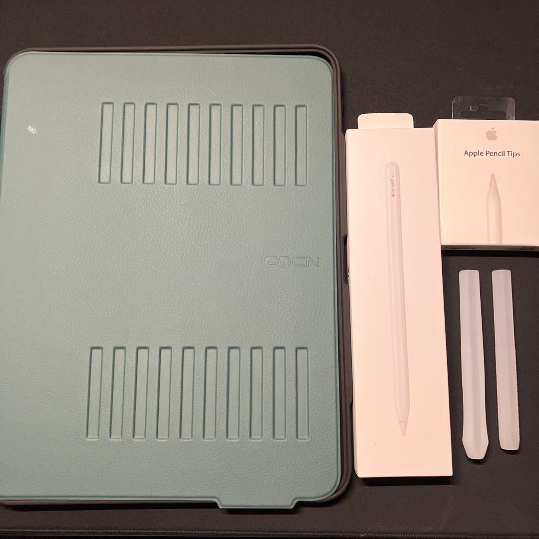 m*様 13インチiPad Pro(M4) 1TB wi-fiモデル イラストセ