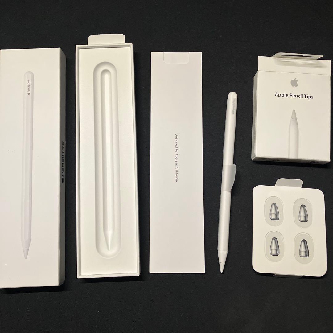 m*様 13インチiPad Pro(M4) 1TB wi-fiモデル イラストセ