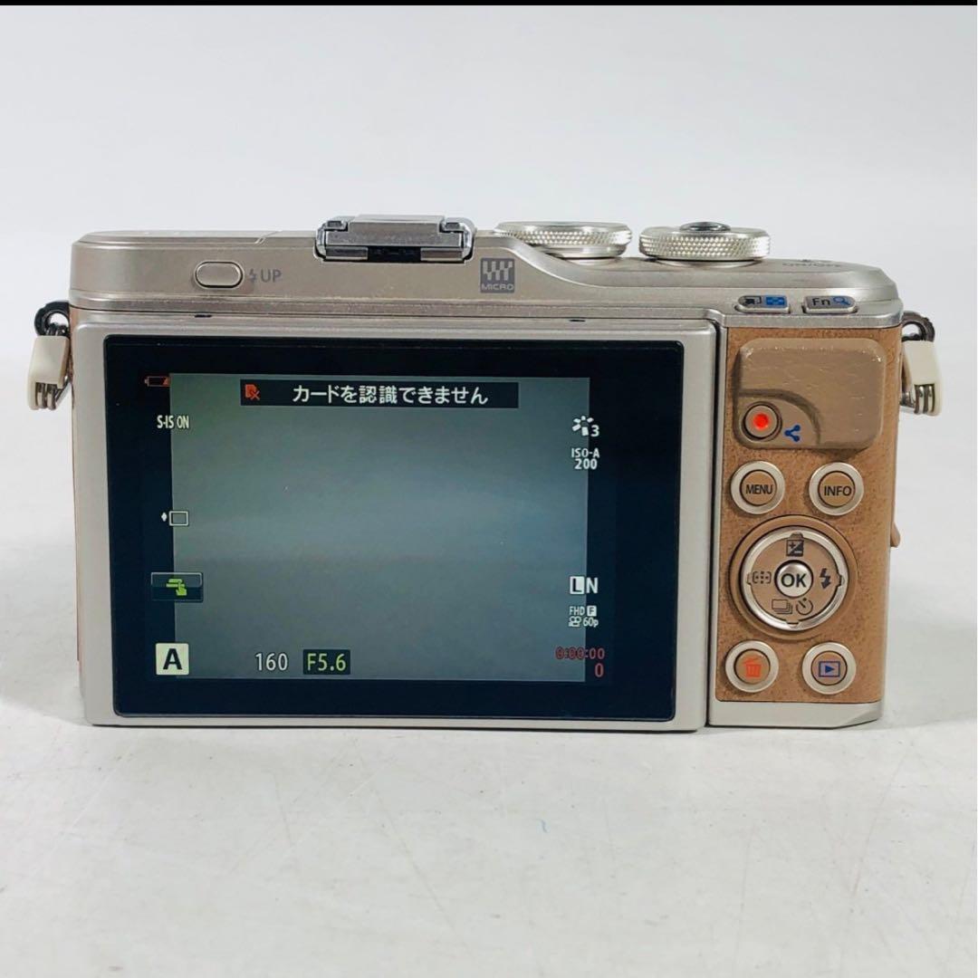 オリンパス OLYMPUS PEN E-PL9 ミラーレス一眼カメラ