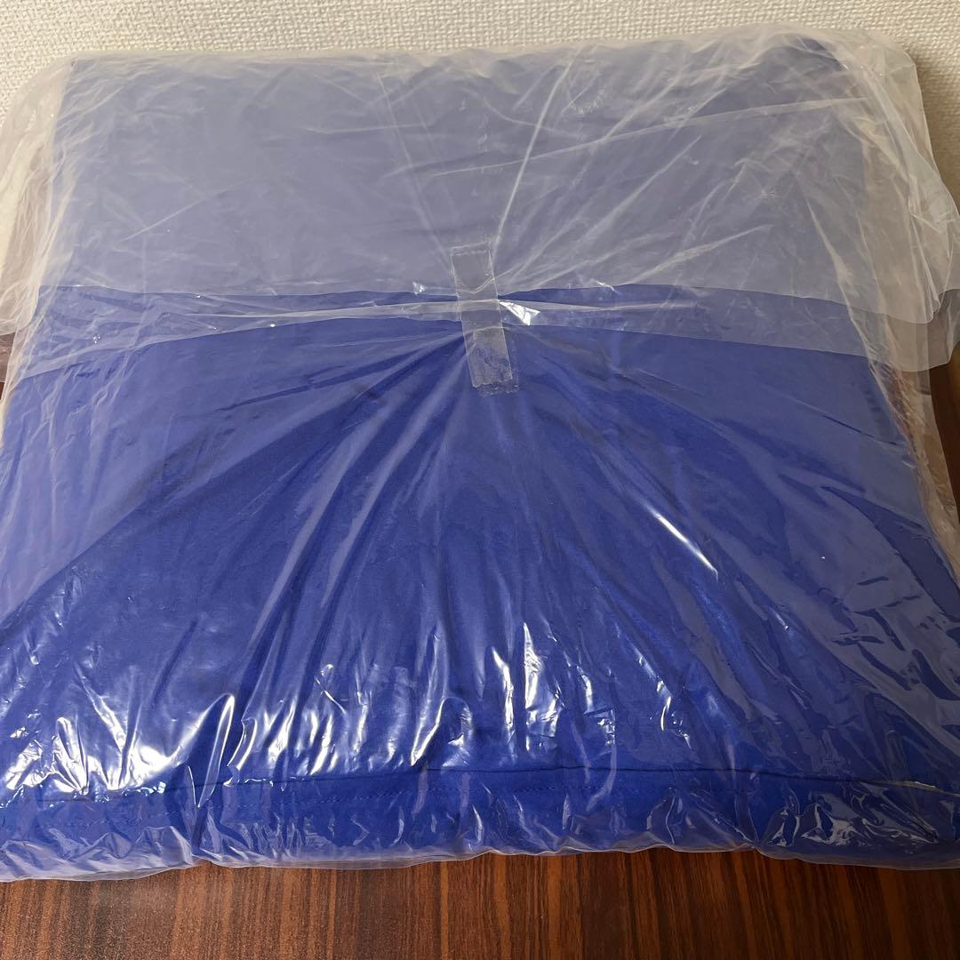 【新品 未使用】トゥルースリーパー 低反発座布団 クッション 2個セット売り