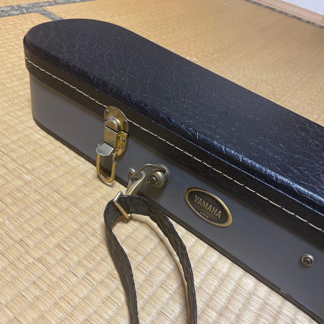 YAMAHA APX-10s上位機種モデル‼️