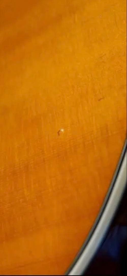 ハードケース付 Ibanez アイバニーズ AEG10NII-TNG エレガット