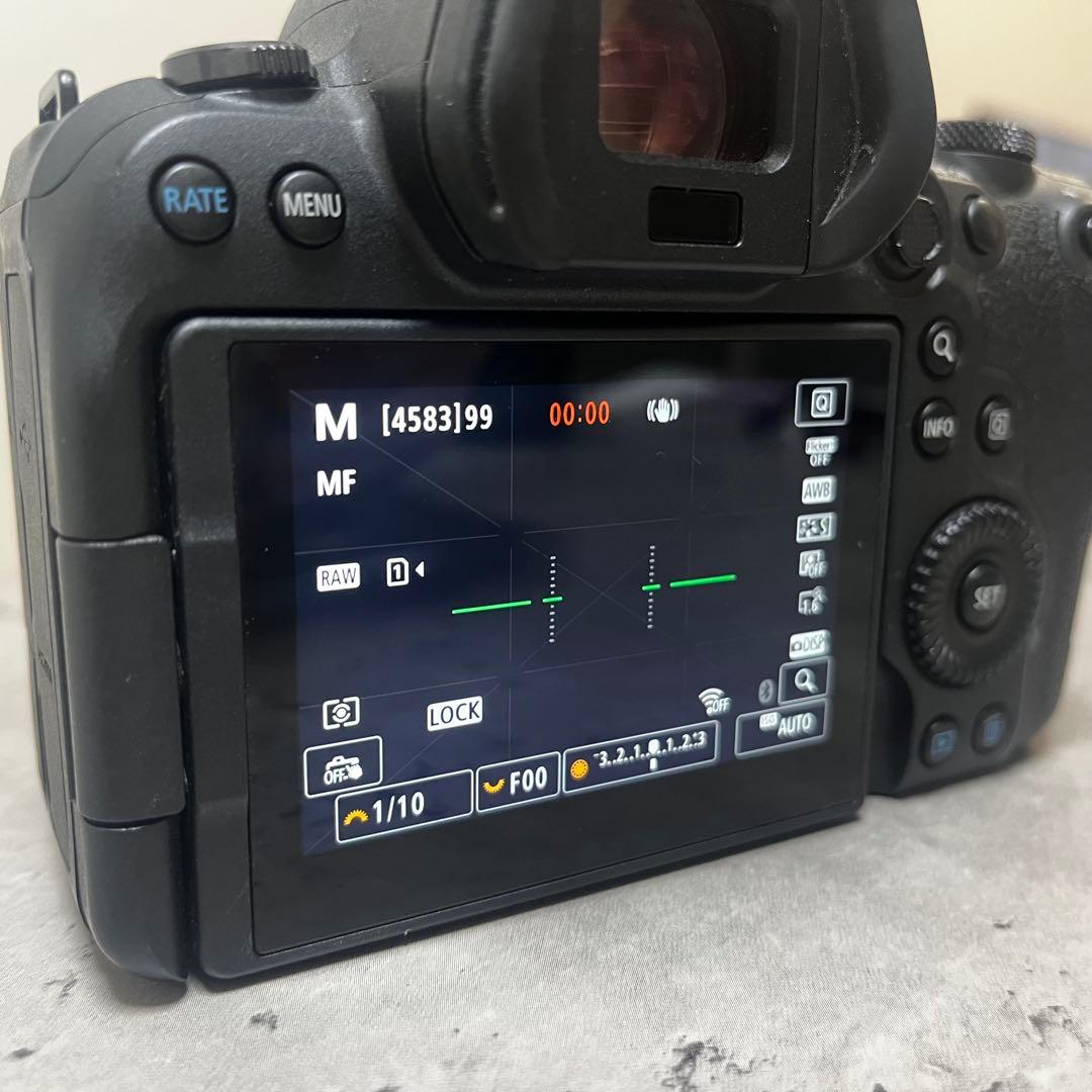 【美品】Canon EOS R6 ボディ