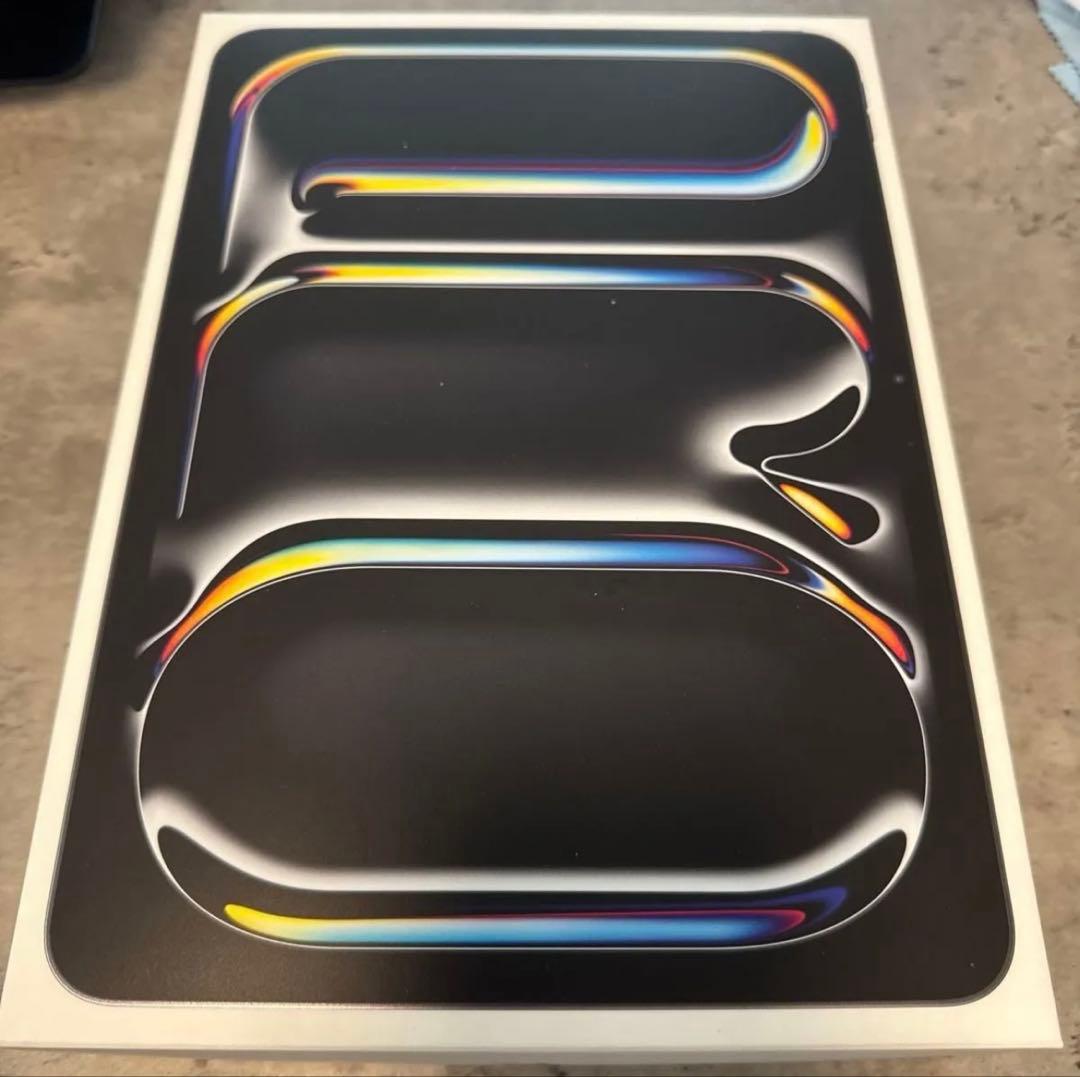 iPad Pro M4 11インチ 256GB スペースブラック 未使用に近い