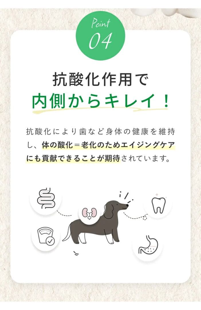 コージーミルク カラダシルク in 腎臓　低リン　低タンパク　脂質ゼロ　甘酒