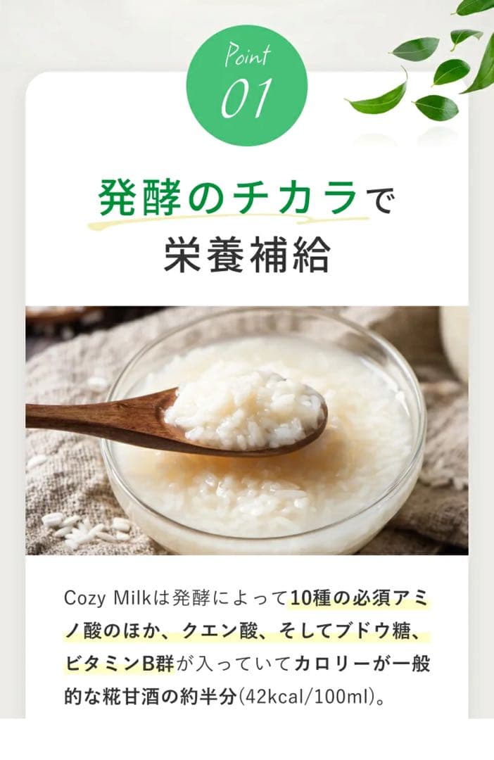 コージーミルク カラダシルク in 腎臓　低リン　低タンパク　脂質ゼロ　甘酒