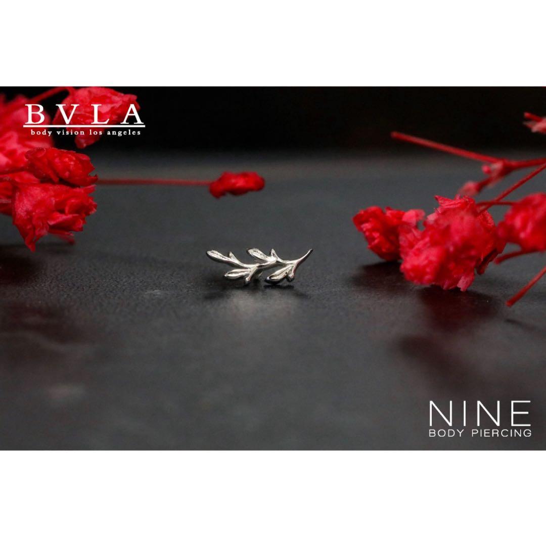 【ゆえ】BVLA Amity アミティ (2セット)