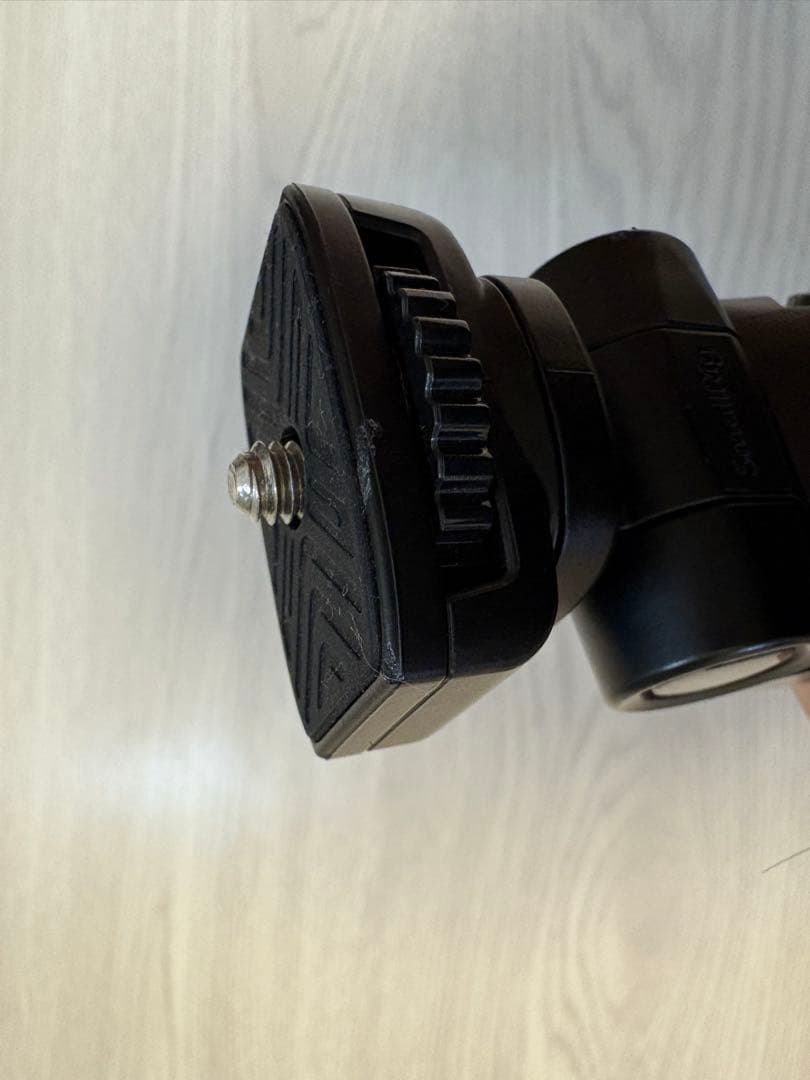 【れんこんさん専用】ニコン ミラーレス一眼 Z30 16-50VR Zマウント