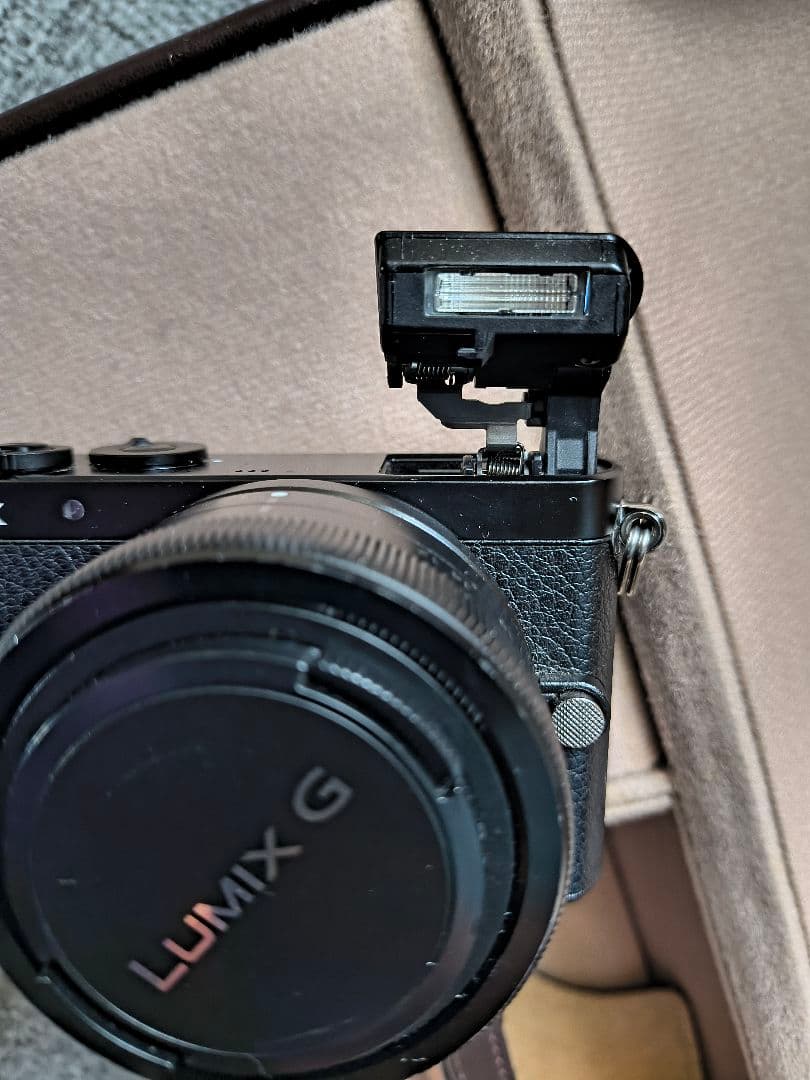 Panasonic LUMIX GM1 レンズキット 専用ケース付き