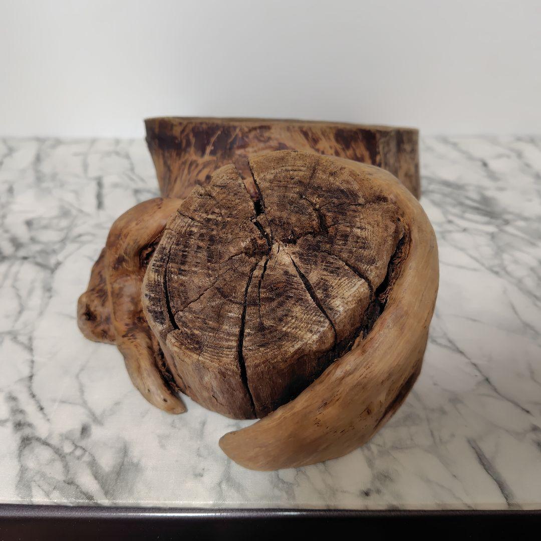 アク抜き済み流木【869】