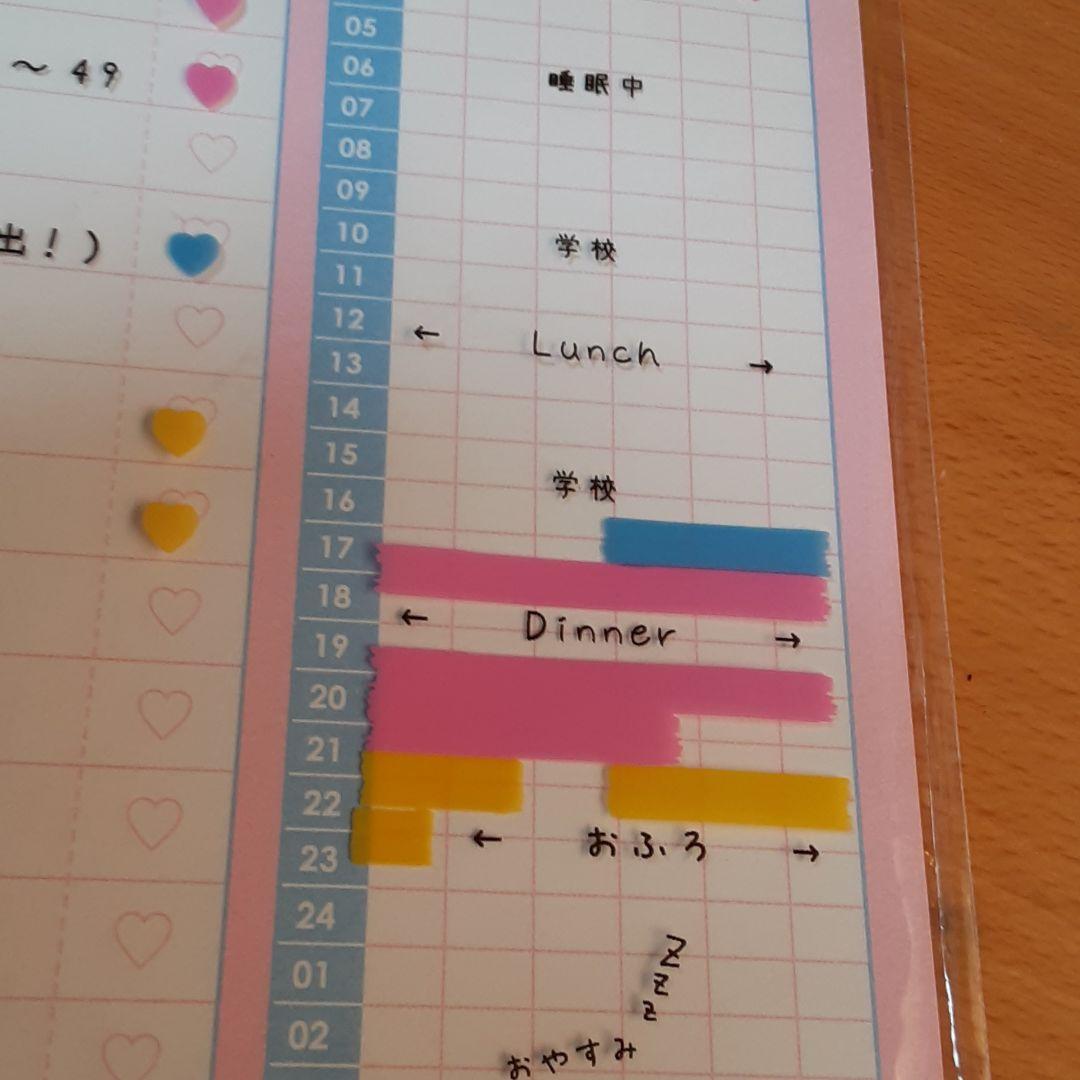 ❤計画好き(❁ᴗ͈ˬᴗ͈)新品　スタディープランナー用紙