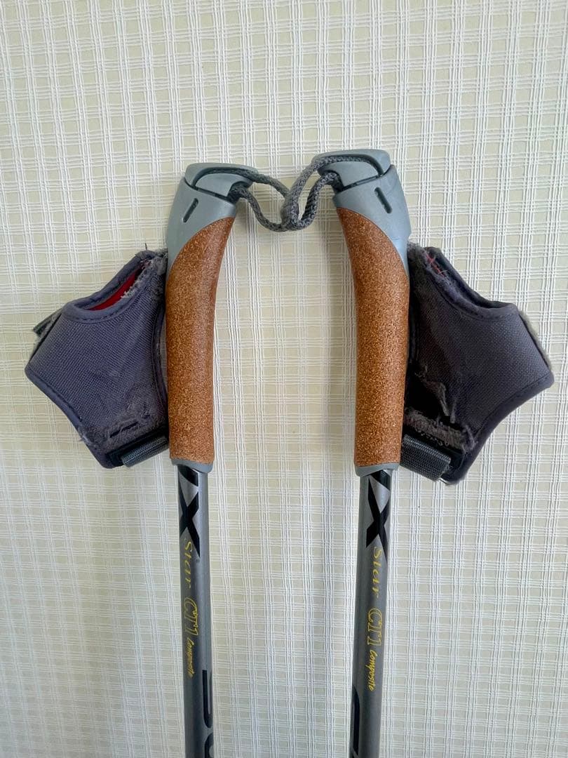 SWIX CT1 クロスカントリースキー用ストック