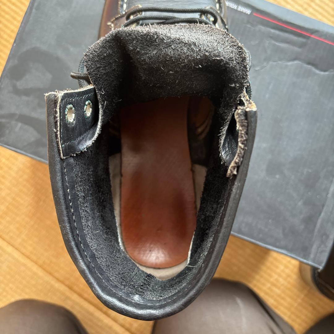 RED WING レッドウィング　9.5アイリッシュセッター　犬タグ　8179