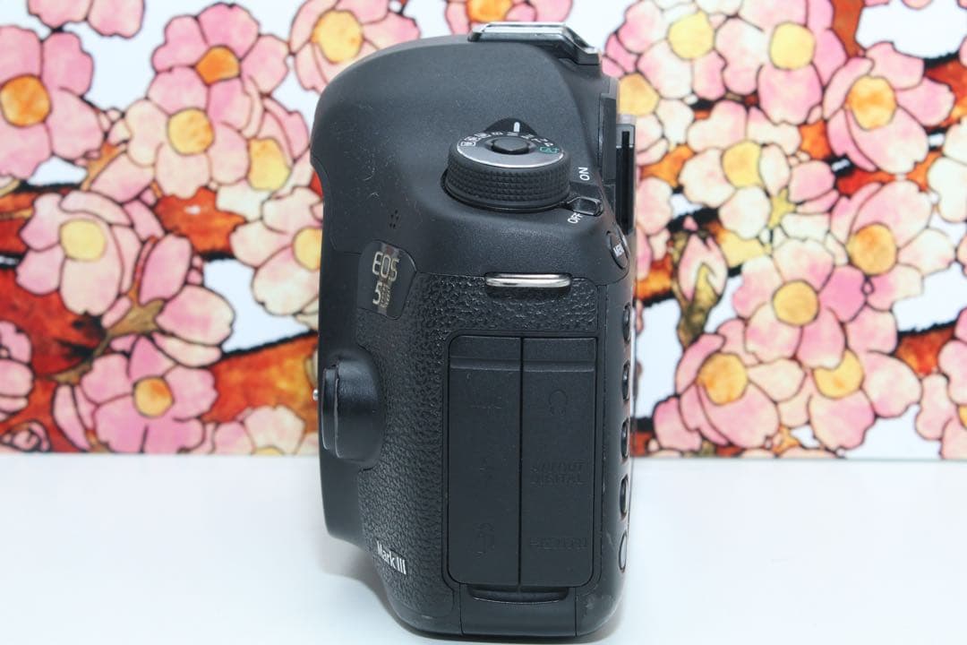❤堅牢の5D系列❤キヤノン EOS 5D mark Ⅲ❤️
