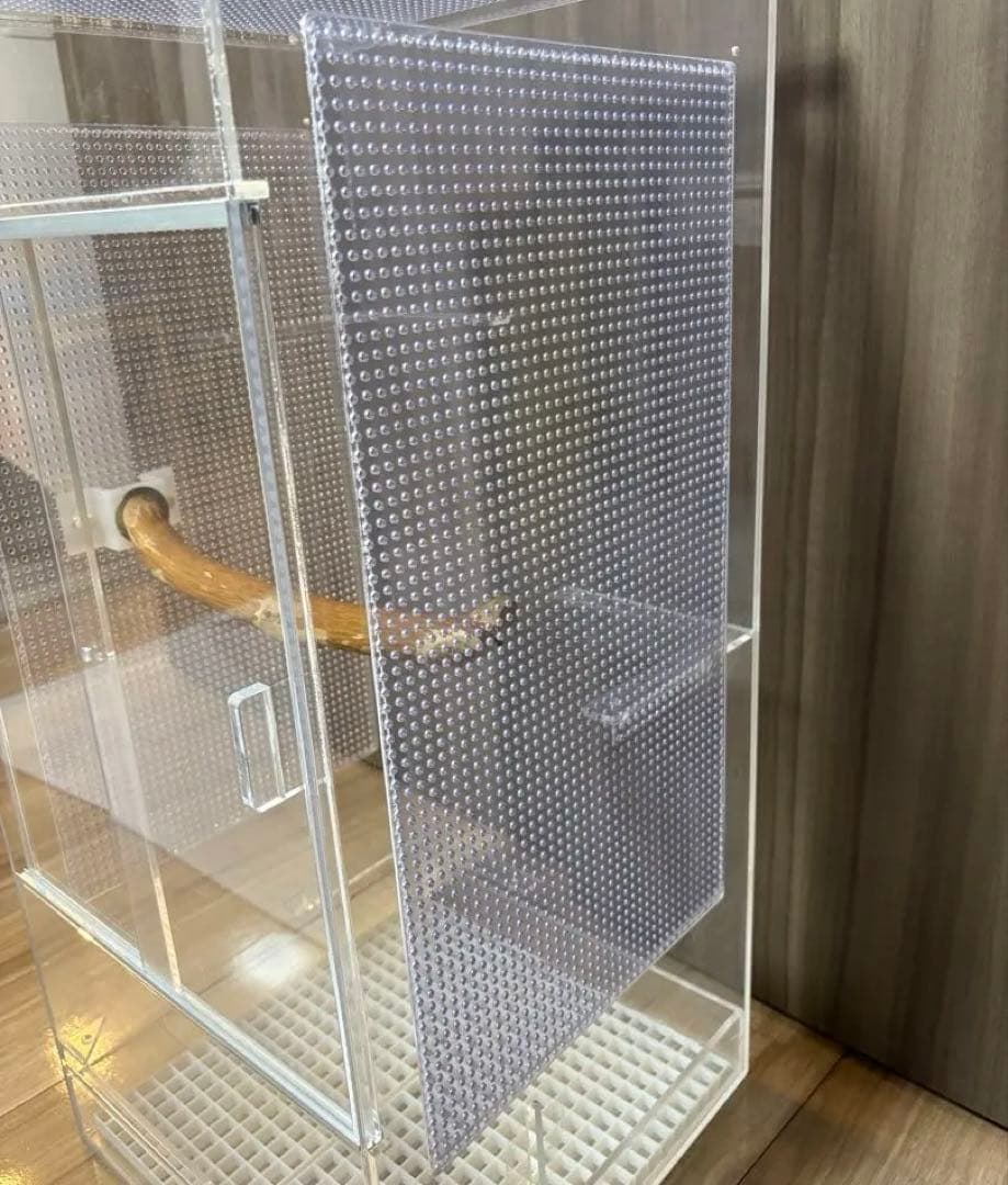 フクロモモンガ　アクリルゲージ　アクリルケージ