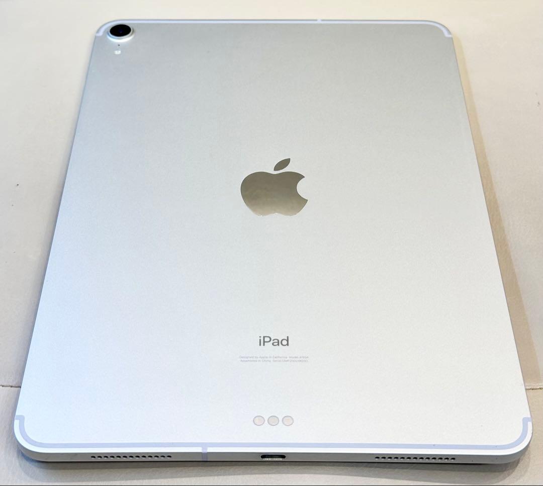 まだ現役！iPad Pro 11インチ 1TB Cellularモデル 第1世代