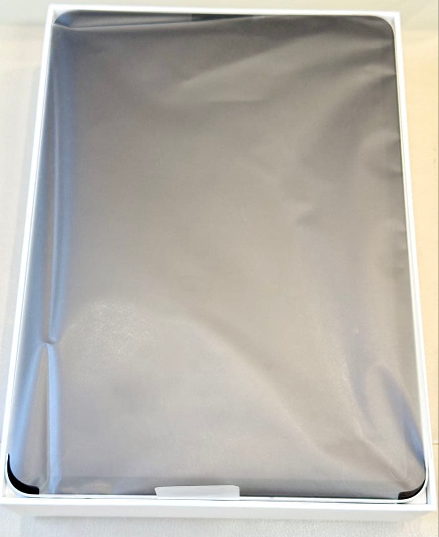 まだ現役！iPad Pro 11インチ 1TB Cellularモデル 第1世代