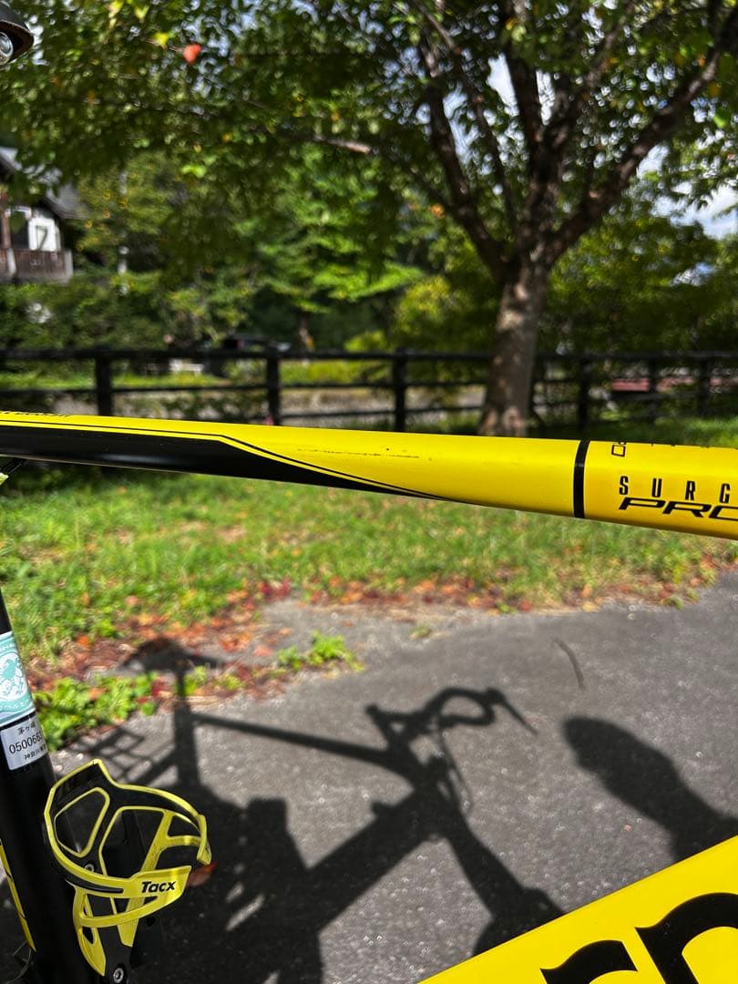 【シシジコ】tern surge PRO/ミニベロ/自転車/52サイズ