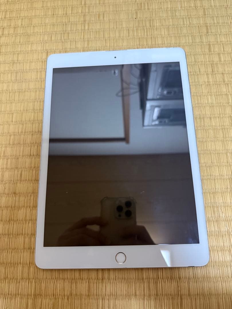 Apple iPad (第7世代) 32GB WiFi モデル カバー