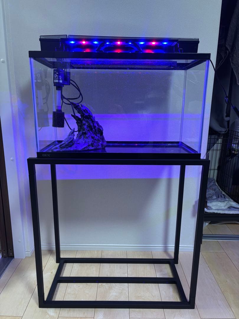 水槽60センチ セット ポンプ 底石 LEDライト
