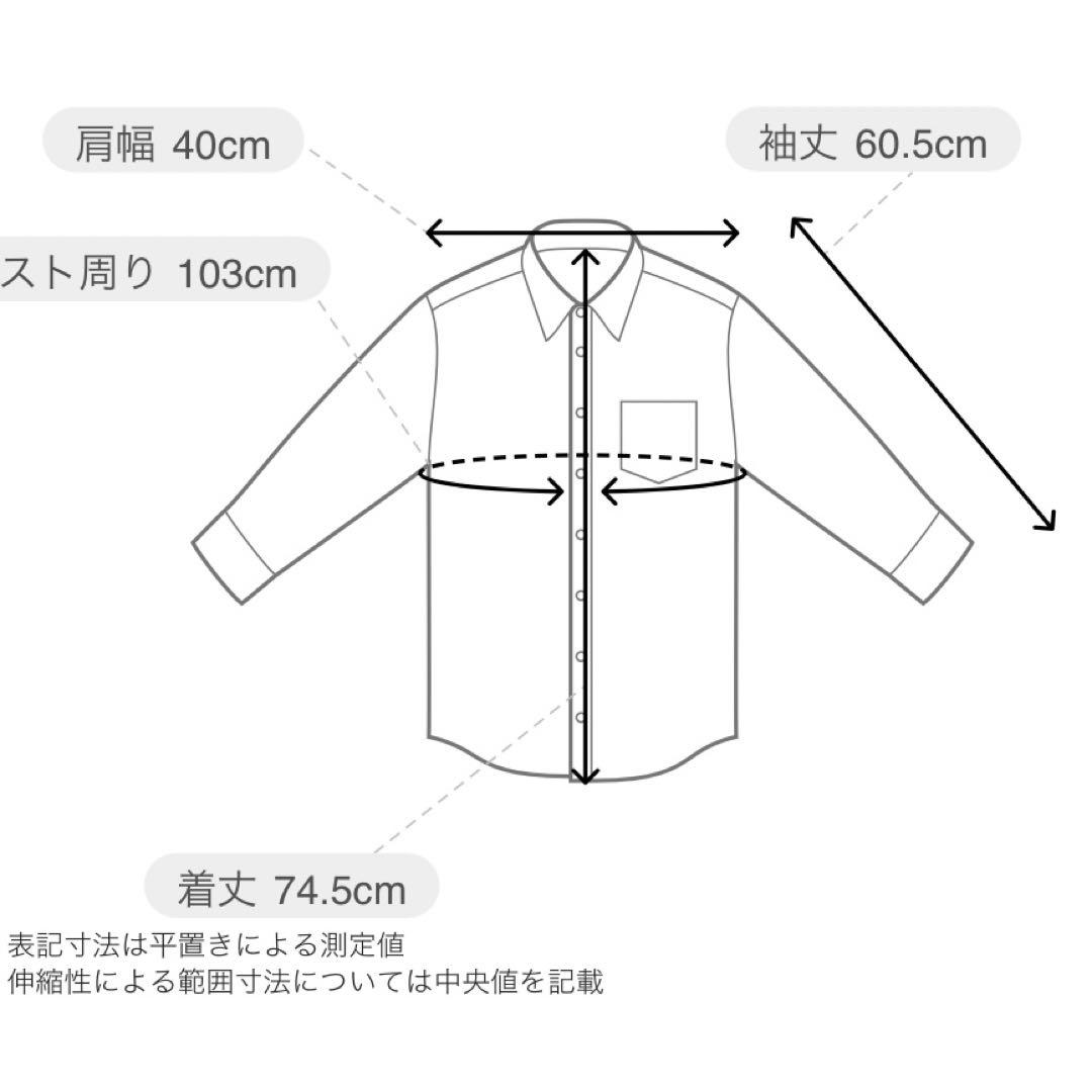 ヌキテパ Poly Dupion Zari Embroidery Blouse