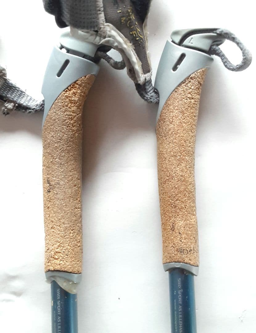 SWIX　クロスカントリースキーポール　Team CT2　148cm