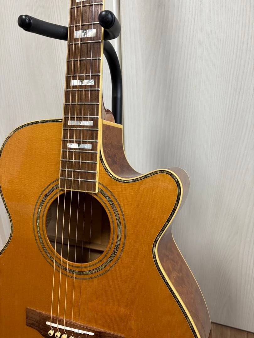 Bugs Gear ９弦エレアコギター　中古品