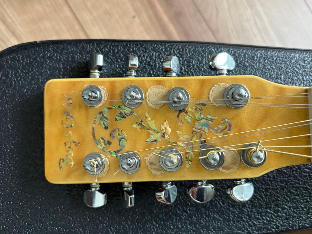 Bugs Gear ９弦エレアコギター　中古品