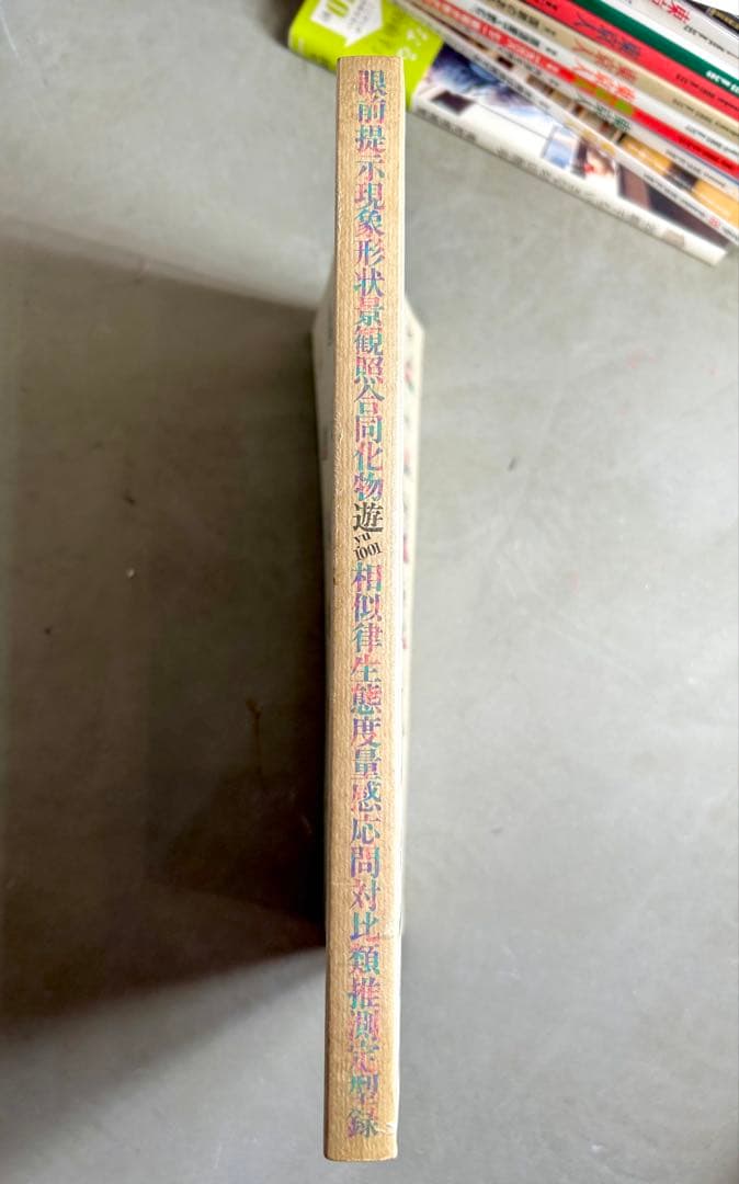 「遊」1978年 第1001号 松岡正剛 工作舎 杉浦康平