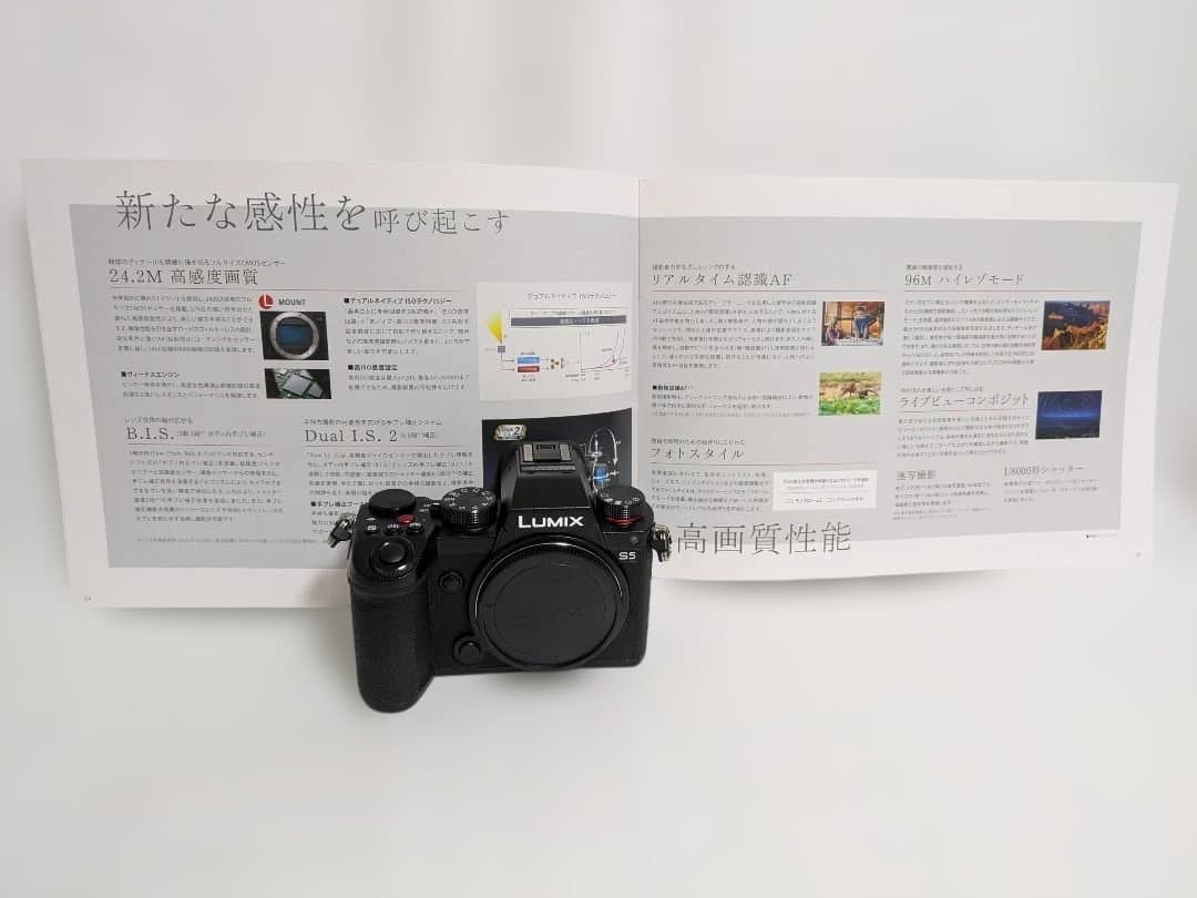 Panasonic LUMIX S5 ミラーレス一眼 本体と付属品